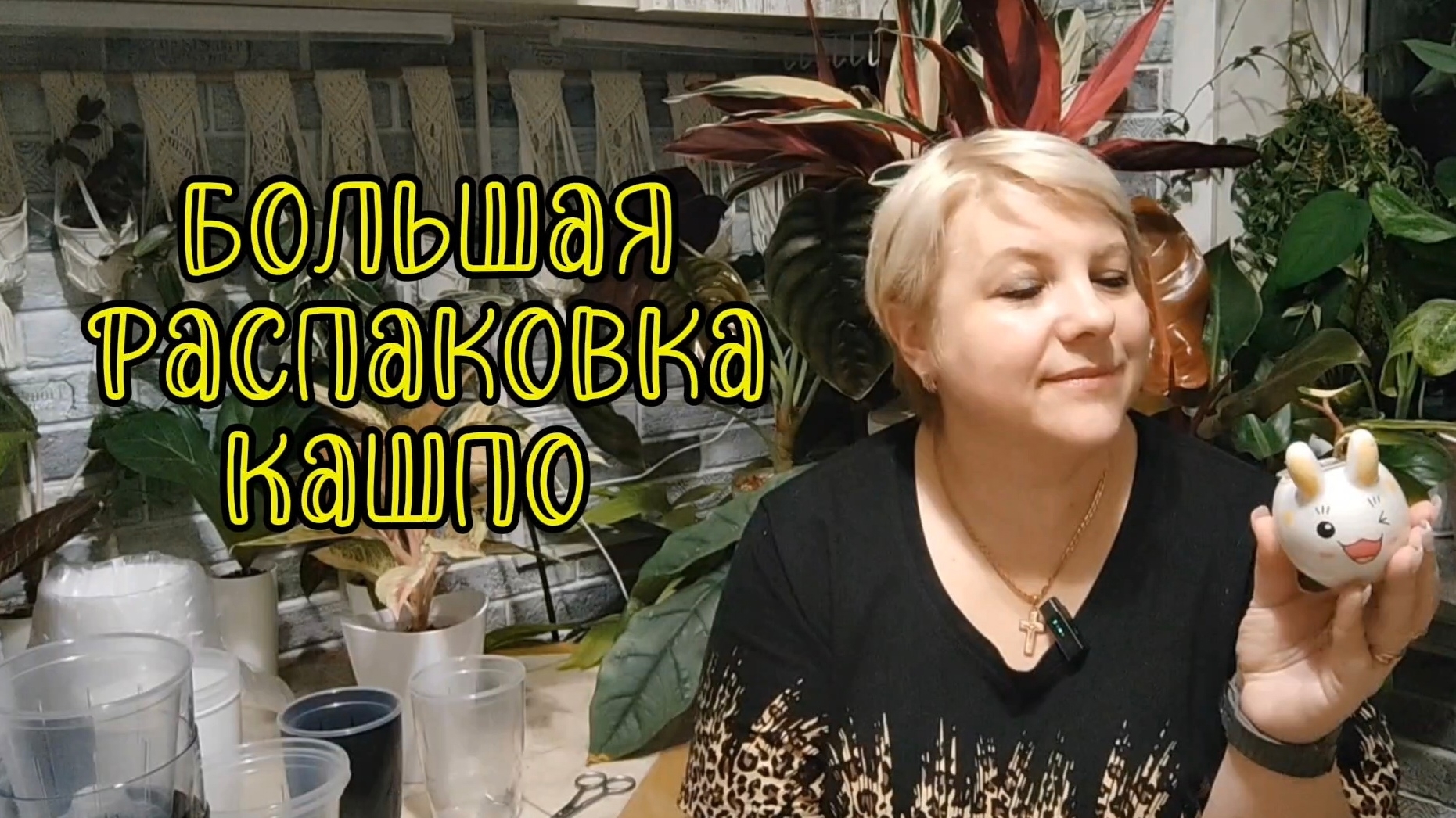Большая распаковка кашпо для комнатных растений смотреть онлайн