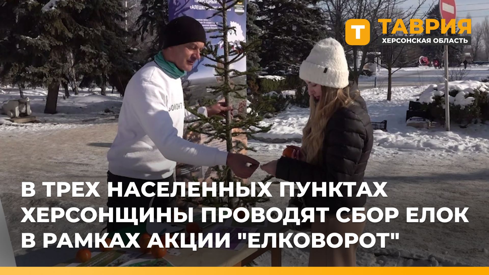 В трех населенных пунктах Херсонщины проводят сбор елок в рамках акции "Елковорот" смотреть онлайн