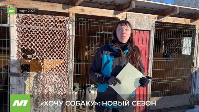 Программа «Хочу собаку» возвращается. Анонс второго сезона. Нижневартовск смотреть онлайн