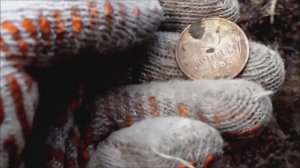 АРХИВ. Шурф в лесу на старом месте + Березовый сок.