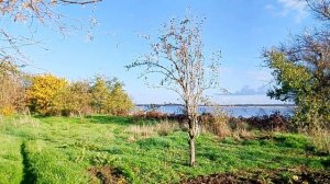 Природа 2025 «Живописный вид на лиман» ✅📌 📍