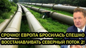 Срочно Европа бросилась спешно восстанавливать Северный поток 2