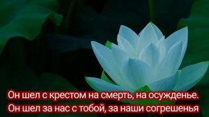 Любовь сошла с небес!