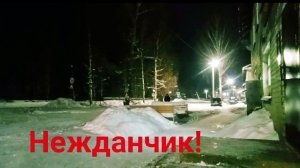 Z.Б.207. Новый неожиданный сезон 2026! Не избавиться вам от меня 😉!