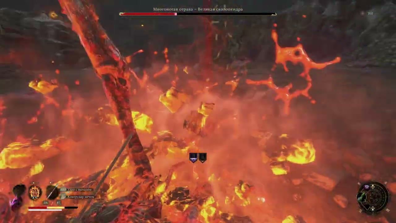 06 Великая сколопендра