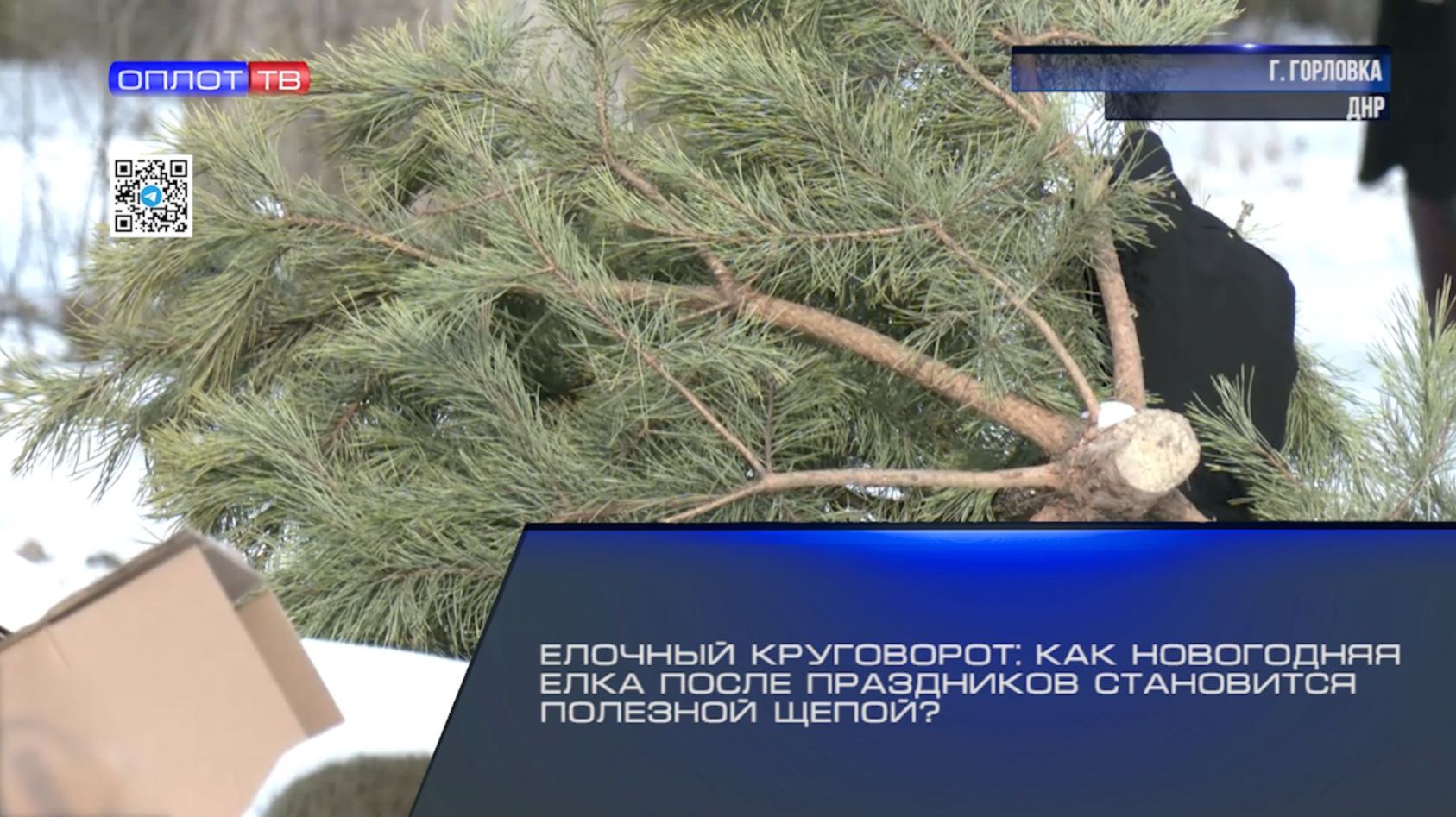 Ёлочный круговорот: как новогодняя ёлка после праздников становится полезной щепой? смотреть онлайн