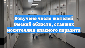 Озвучено число жителей Омской области, ставших носителями опасного паразита