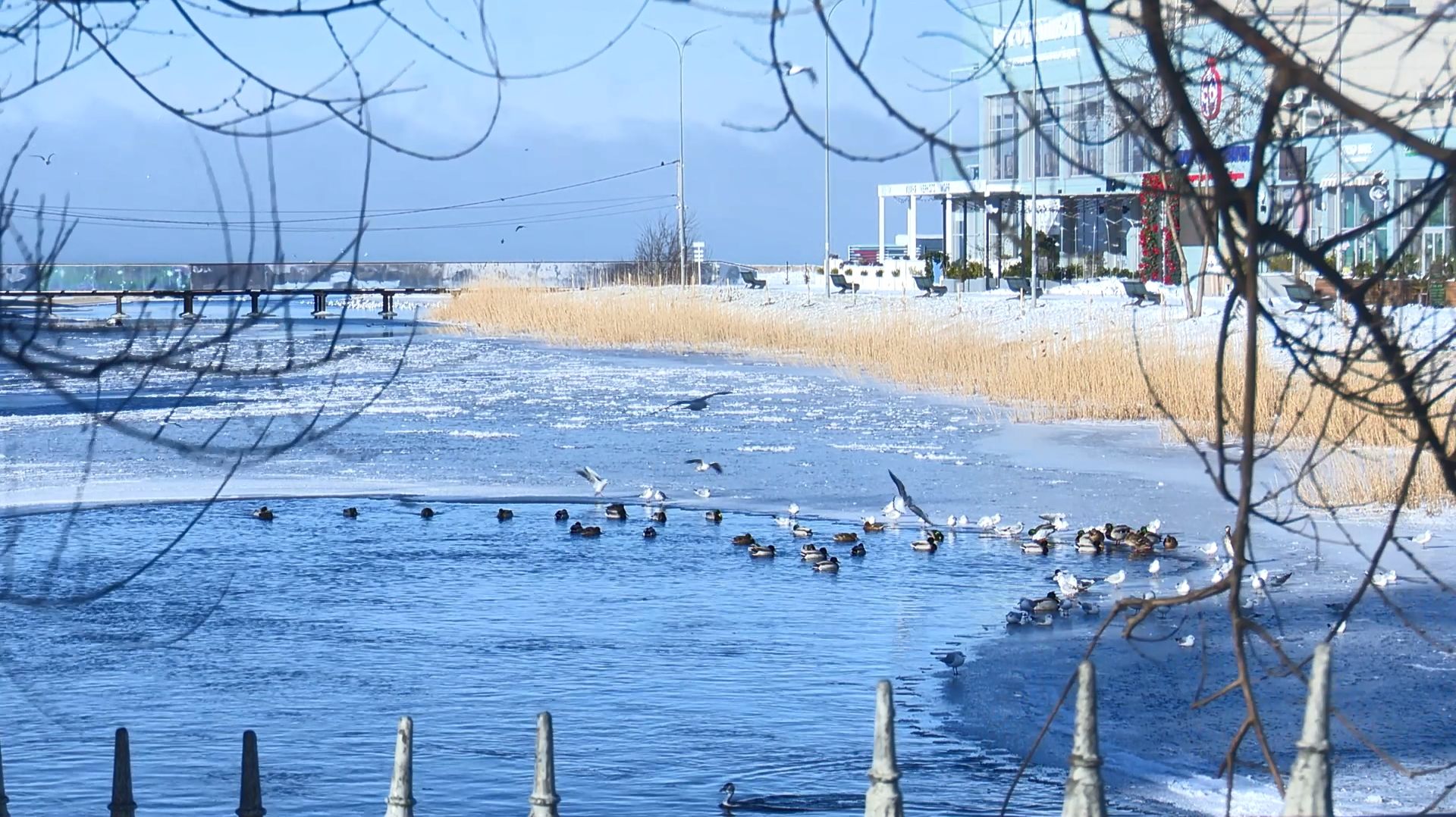 Ситуация под контролем: в Анапе не зафиксировано поднятия уровня воды в реках и озерах смотреть онлайн
