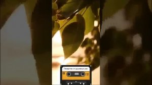 А молодость 😥 проходит