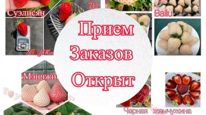 Китайские новинки‼️Прием заказов открыт‼️ Сорта супер класса‼️‼️‼️