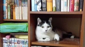 Штормик - срочно хочу на дачу)))