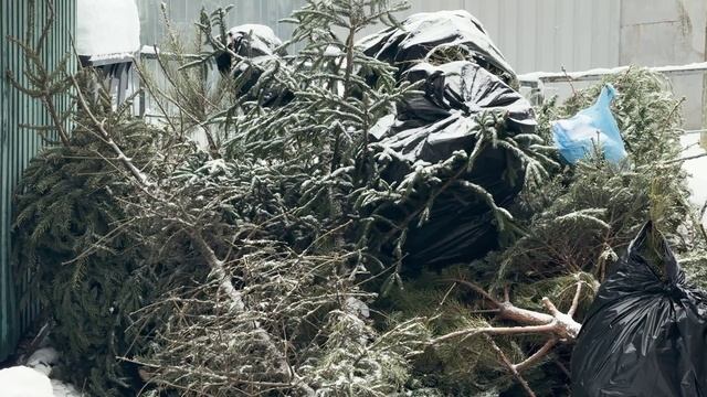 Елки в дело смотреть онлайн