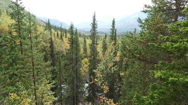 В хибинах в выходной день