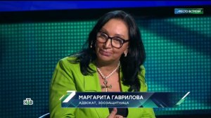 Маргарита Гаврилова в программе «Место встречи» на телеканале НТВ (21.03.2025)