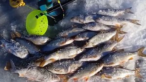 С безмотылкой на озеро в праздник Крещение Господне.