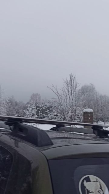 Просто сказка! Зима, зима, зима!#shorts