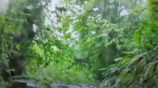 Суставы и Желатин смотреть онлайн