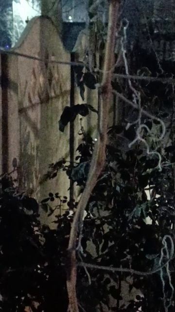 Погода в Крыму 21.01.2026г.