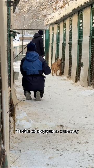 Работа с Греттой