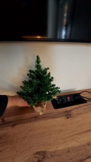 Праздники закончились...