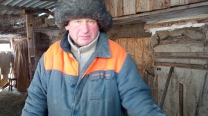 ЖИЗНЬ на ПЕНСИИ В ДЕРЕВНЕ//ОПЯТЬ Я НЕДОВОЛЬНА//Жарю сазана//