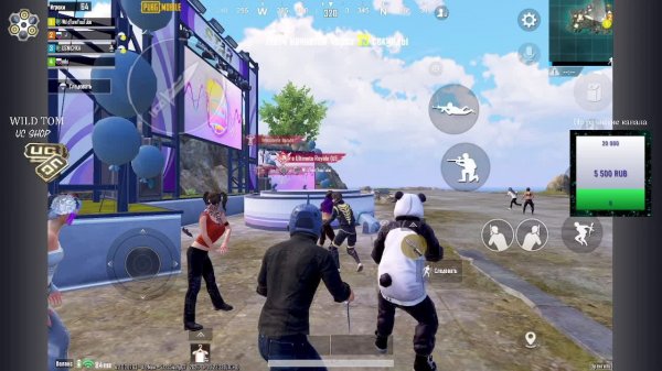 LIVE: WildTom_YouTube