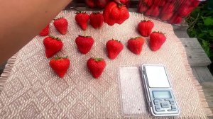 Фенг Сянг. Взвешиваем ягоду