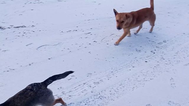 VID_20251230_092039 смотреть онлайн