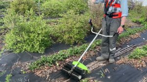 Супер щетка для клубники‼️ Восторгу нет предела