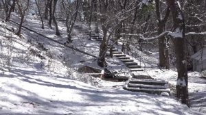 Я люблю Кюре. Зима