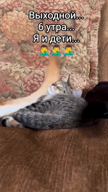 У кого не так? 🤭🤣 #утро #выходной #садик #дети #родители #папатрехпринцесс #юмор #прикол #топ