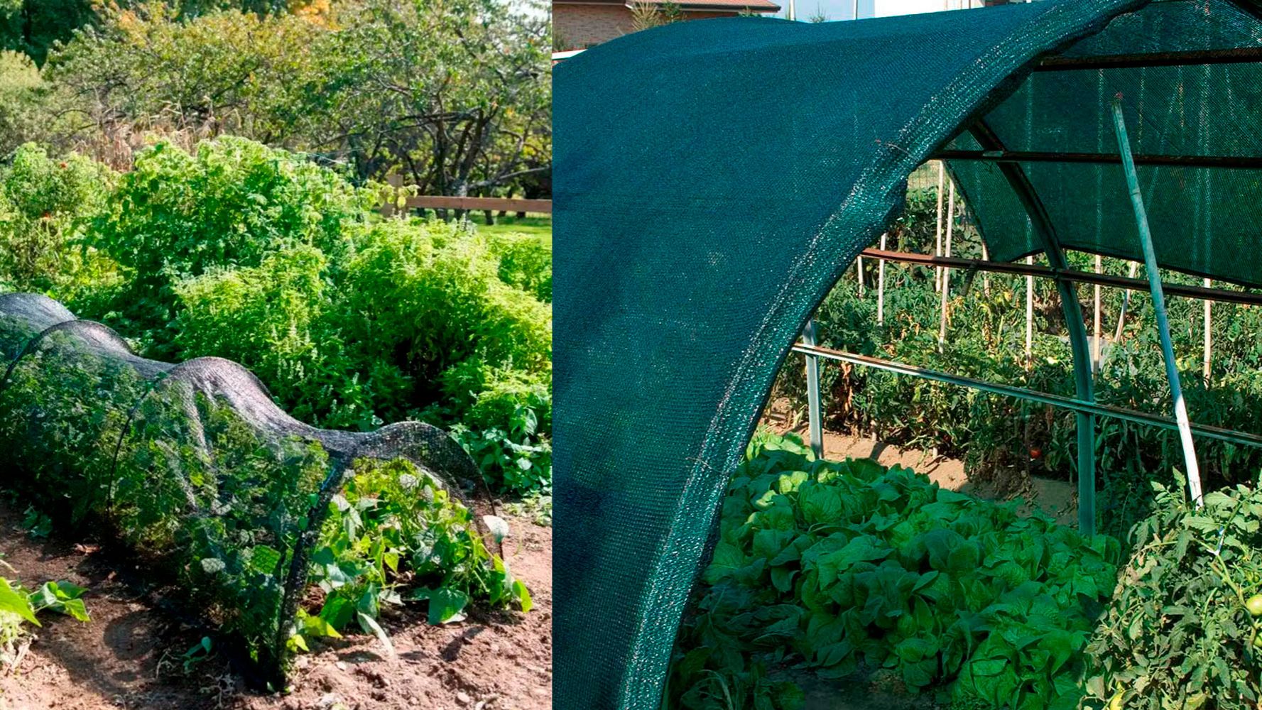 Варианты применения затеняющей сетки смотреть онлайн