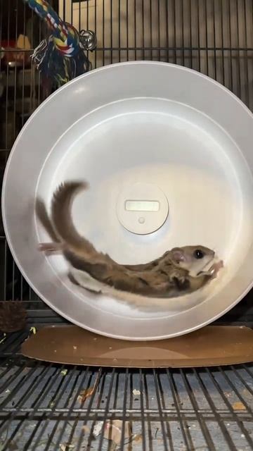 Когда спорт  немного не  твоё