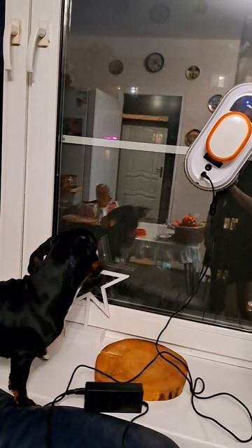 Бекки не любит мойщика окон!😁😁😁 смотреть онлайн