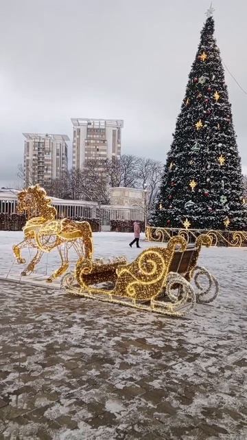 VID_20260116_164531 смотреть онлайн