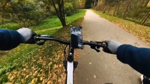 Красота осени