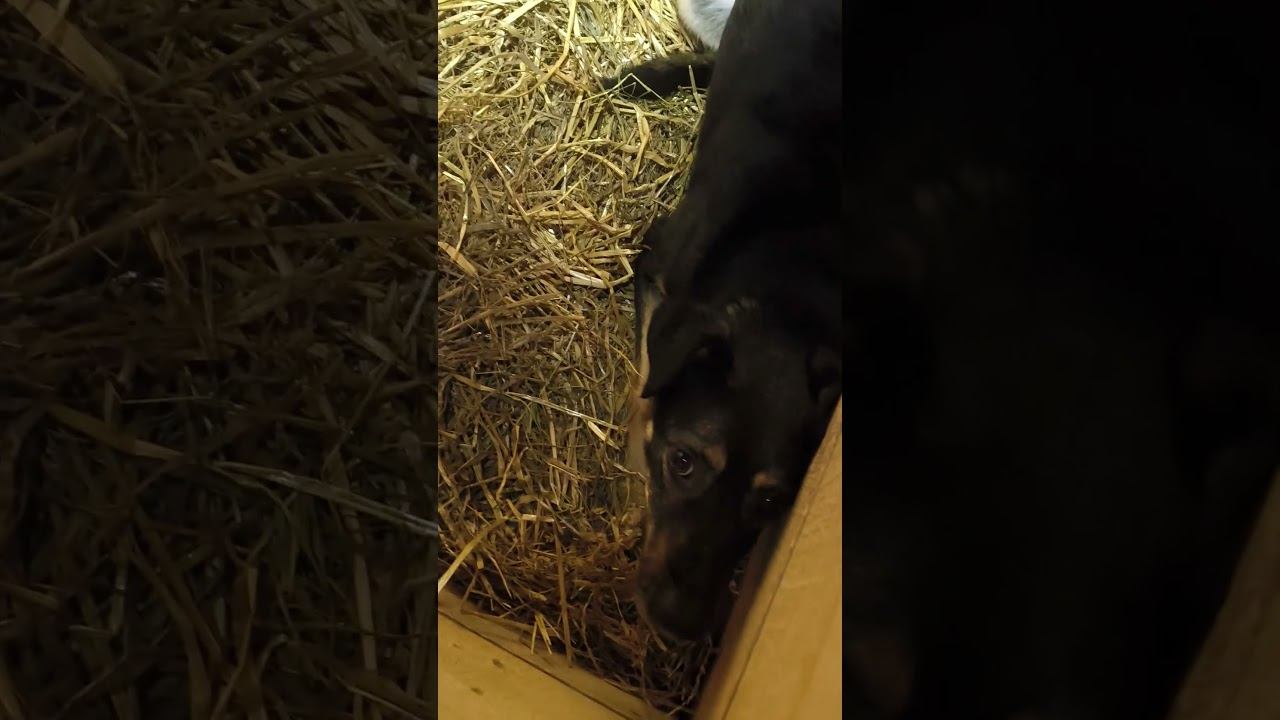 Установили датчки в зимник. Рассказываем! Волонтеры 