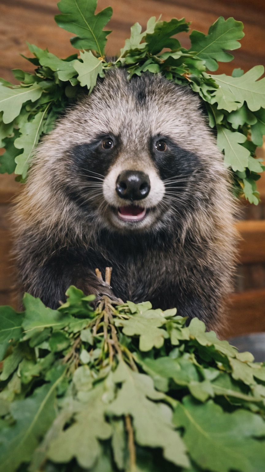 Фрау приглашает в баню! #енотовиднаясобака #баня #слегкимпаром #банька #собака #тануки