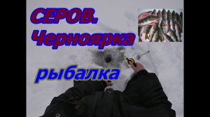 СЕРОВ.ЧЕРНОЯРКА.РЫБАЛКА НА Р.СОСЬВА.