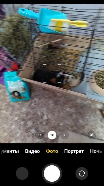 1000006915.mp4л смотреть онлайн