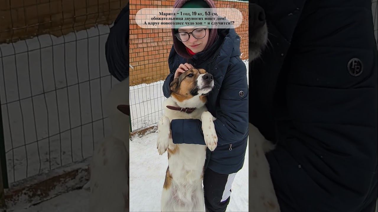 Найдется для меня чудо? Марите холодно в приюте в -15. Волонтеры 