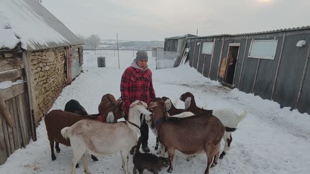 21 янв. Про дела Житейские. Жизнь простой семьи в деревне смотреть онлайн