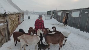 21 янв. Про дела Житейские. Жизнь простой семьи в деревне