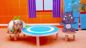 Маленький хомячок и Говорящий Том ссорятся из-за чего-то — маленький хомячок такой хитрый!