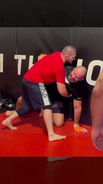 🔥Хабиб Нурмагомедов борется с Гловером Тейшейрой смотреть онлайн