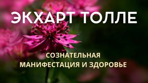 Здоровье рождается в присутствии. Экхарт Толле