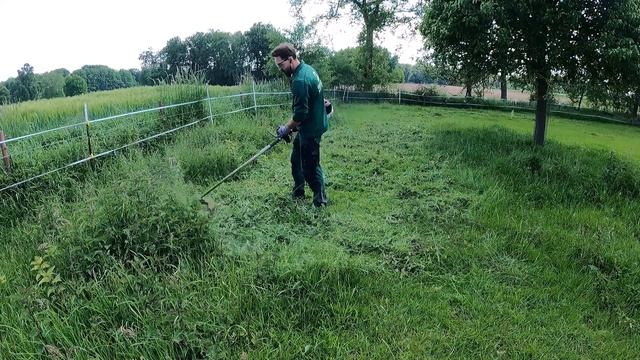 Покос высокой травы и крапивы смотреть онлайн