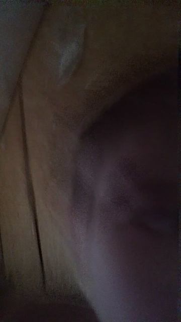 играю в хоккей блин говорю конечно же