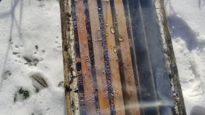 пчелы 21.01. 26  облёт пчел беглый осмотр