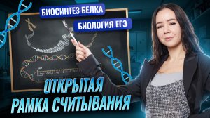 Биосинтез белка: САМЫЙ популярный тип задания | Открытая рамка считывания | Биология ЕГЭ | Умскул